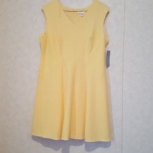 Women's Dress Size 22w New with tags